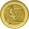 Kangourou en or de 1/2 once - notre choix
