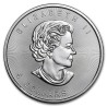 Tube 25 Pièces d'Argent Maple Leaf (Années Mixtes)